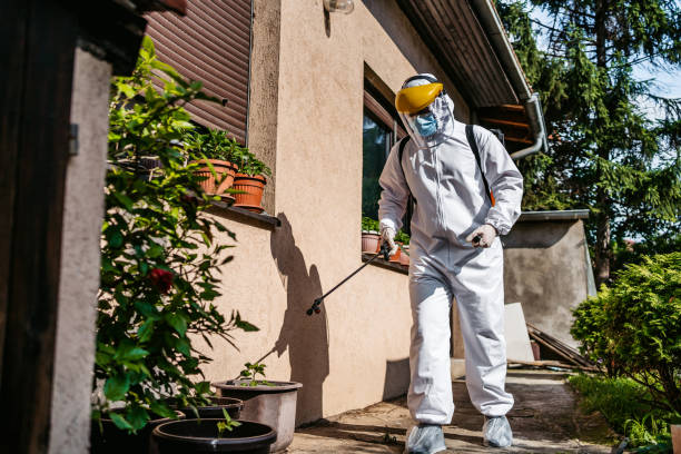 Professional Pest Control in Snowmass Village, CO