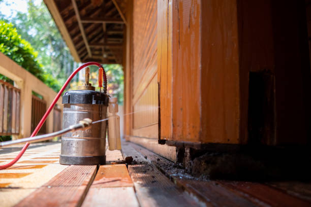 Best Affordable Pest Control Services  in Snowmass Village, CO